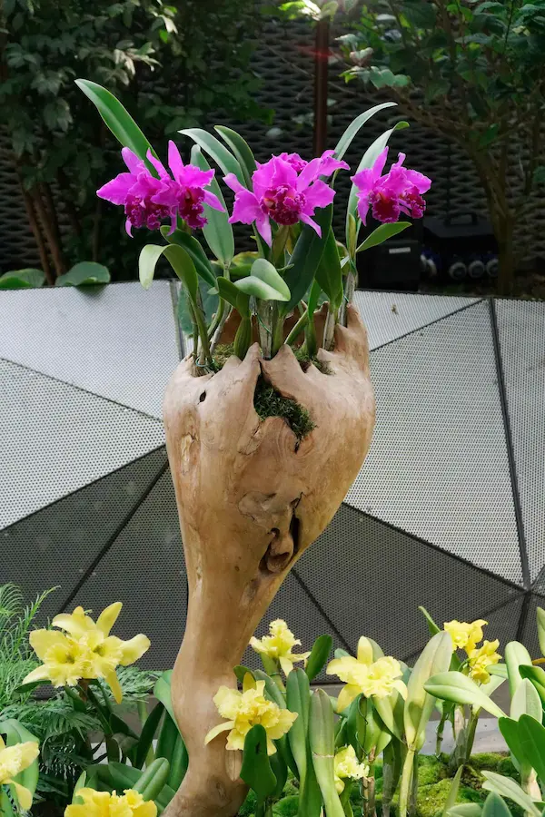 Flower and sculpture vase